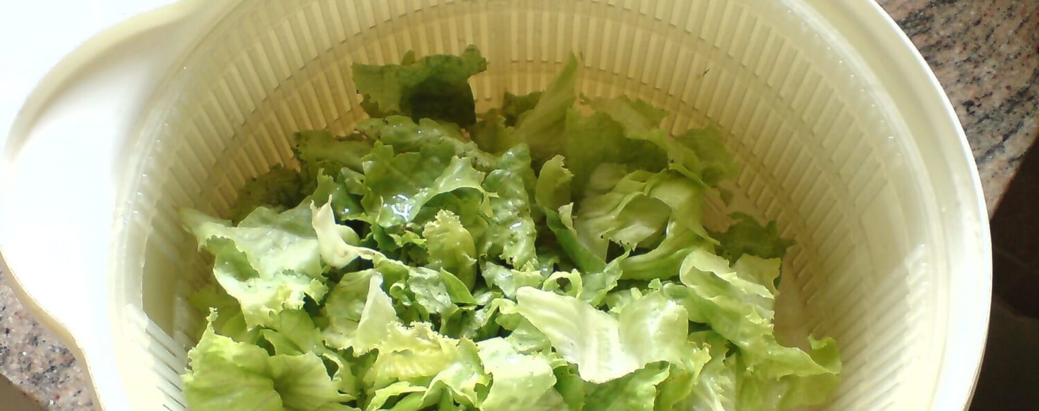 Essoreuse à salade - Moulinex - K1690104