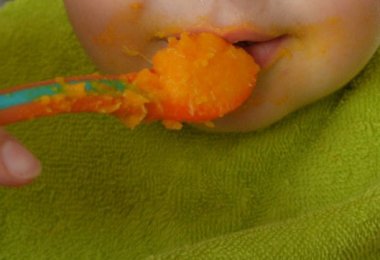 Comment choisir son babycook ?