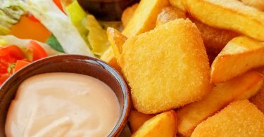 Comment choisir sa friteuse electrique